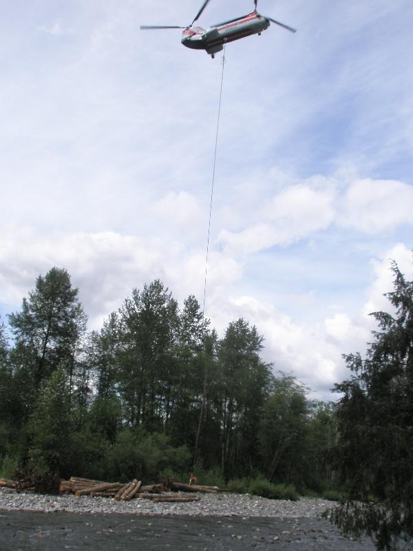 Helicopter transporting logs